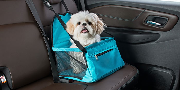 Imagem do interior da nova picape Chevrolet Silverado, mostrando um cachorro branco sentado na cadeirinha pet de banco.